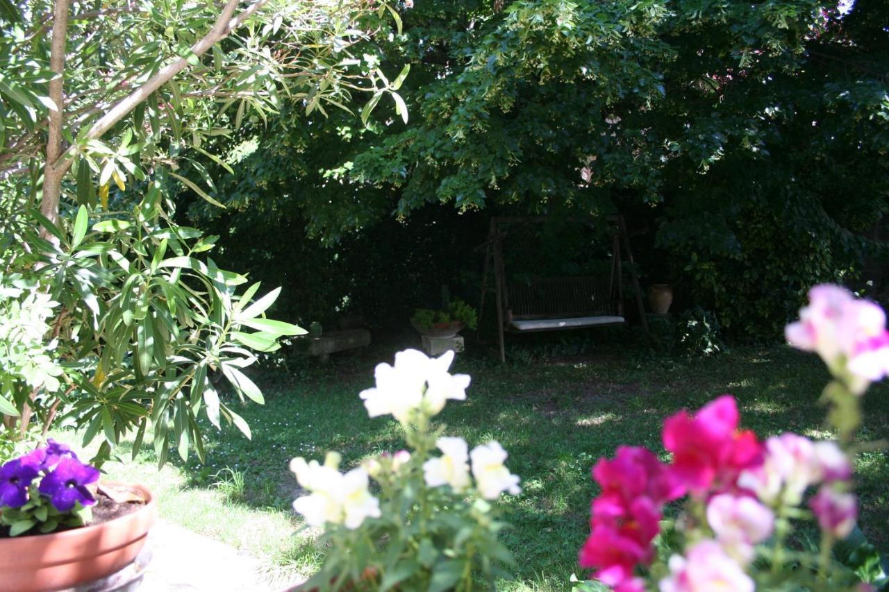 Le Petit Palais Maisonnette Aparthotel Avignon Bagian luar foto