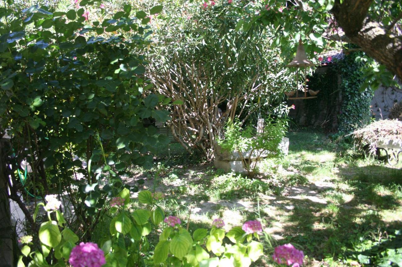 Le Petit Palais Maisonnette Aparthotel Avignon Bagian luar foto