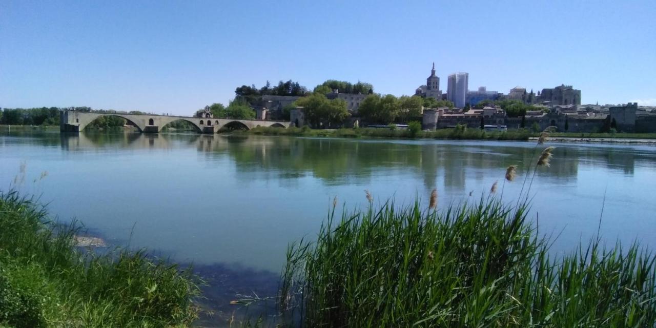 Le Petit Palais Maisonnette Aparthotel Avignon Bagian luar foto