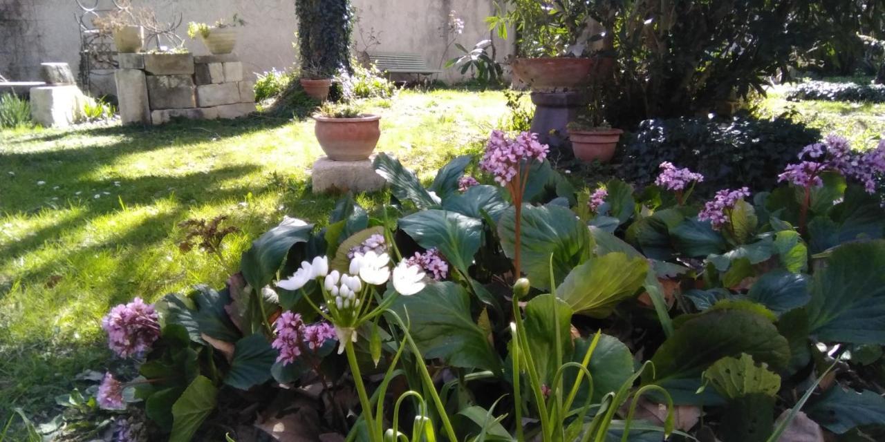 Le Petit Palais Maisonnette Aparthotel Avignon Bagian luar foto