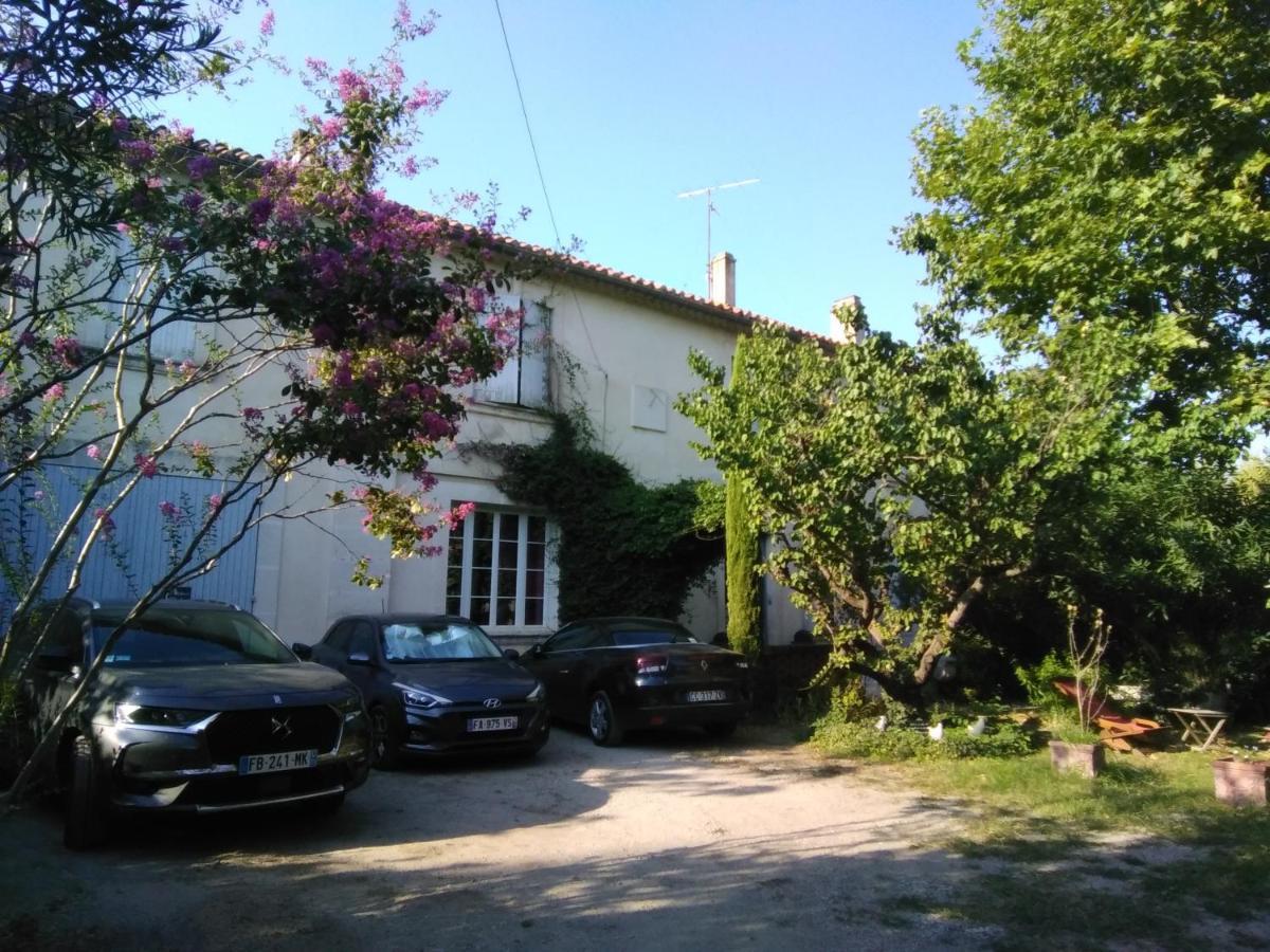 Le Petit Palais Maisonnette Aparthotel Avignon Bagian luar foto